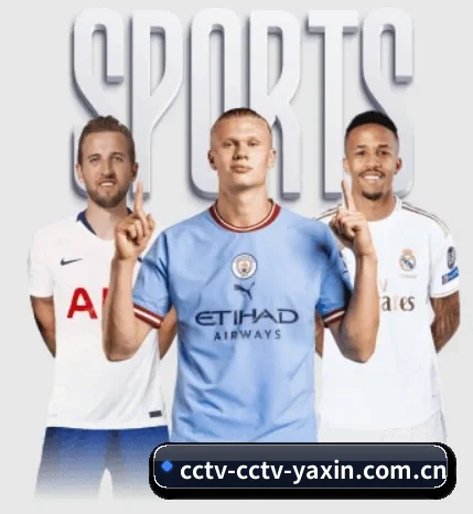 五大服务分区,信息按项目分类（yaxin）