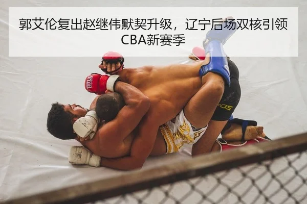 郭艾伦复出赵继伟默契升级，辽宁后场双核引领CBA新赛季